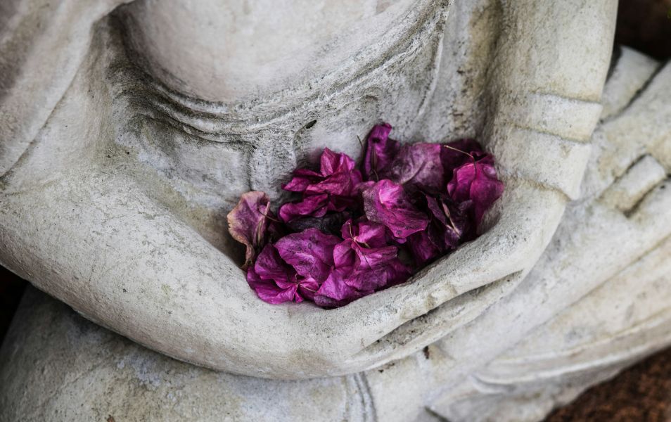 Meditation